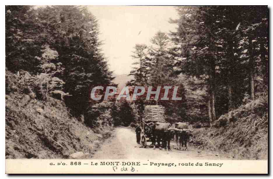 CPA Le Mont Dore Paysage route du Sancy Attelage Boeufs