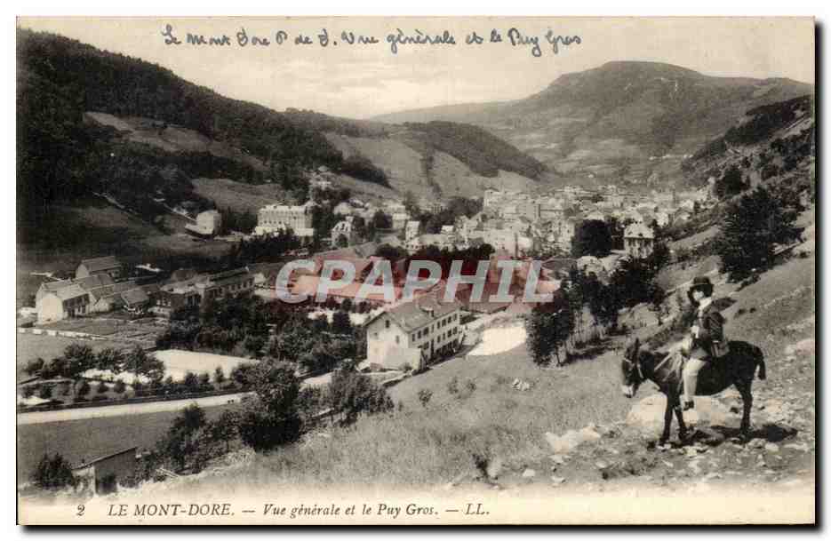 CPA Le Mont Dore Vue generale et le Puy Gros Ane 