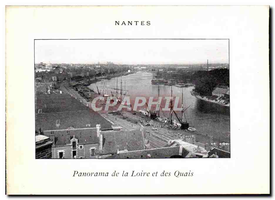 CPA Nantes panorama de la Loire et des Quais Bateaux 