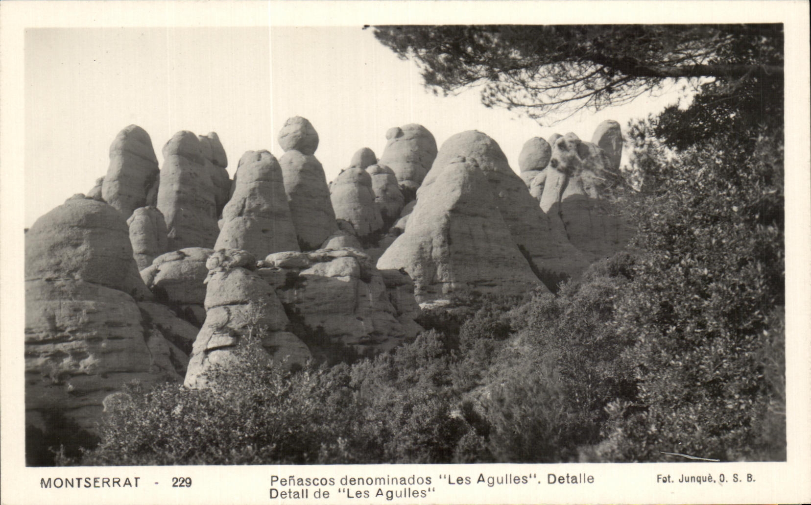 CPA Montserrat Detail de Les Agulles