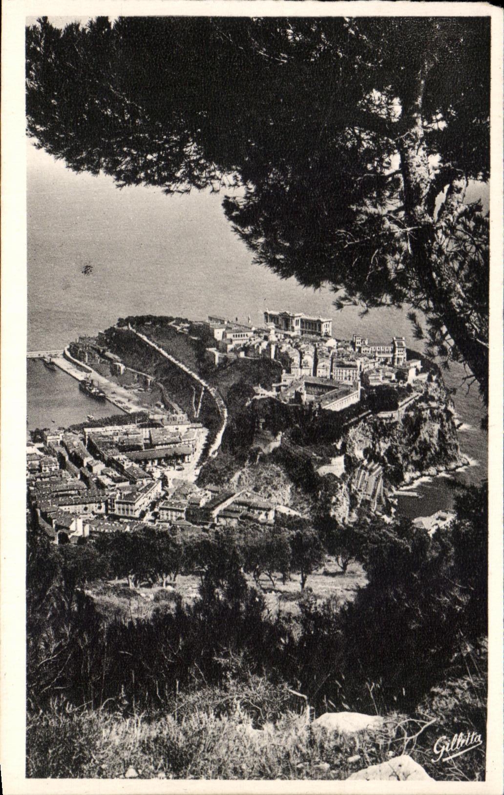 CPA Cote d'Azur Artistique Monaco Le Rocher entre les Pins