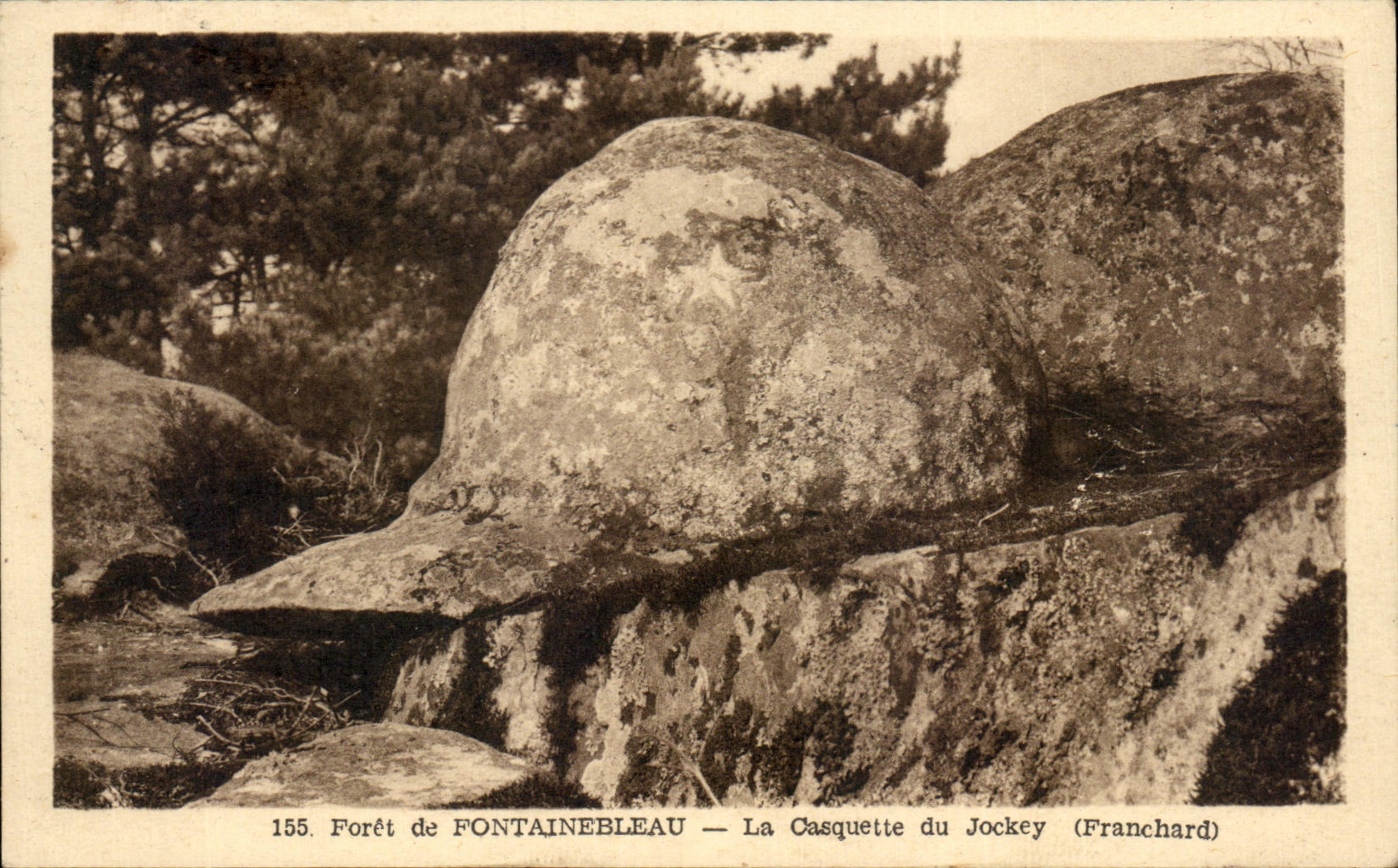 Bosque de FONTAINEBLEAU — La Casquette du Jockey (Franchard) — n°155