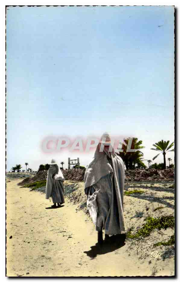 CPA Ile De Djerba Les Femmes Djerbiennes Coiffees De La Petase