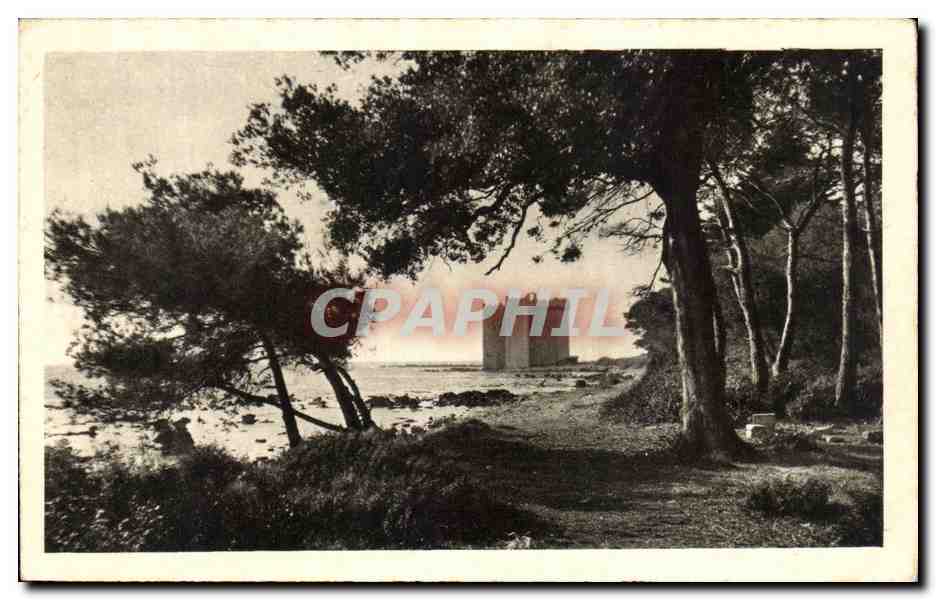 CPA Cannes Le Chateau St Hoporat aux iles de Lerins 