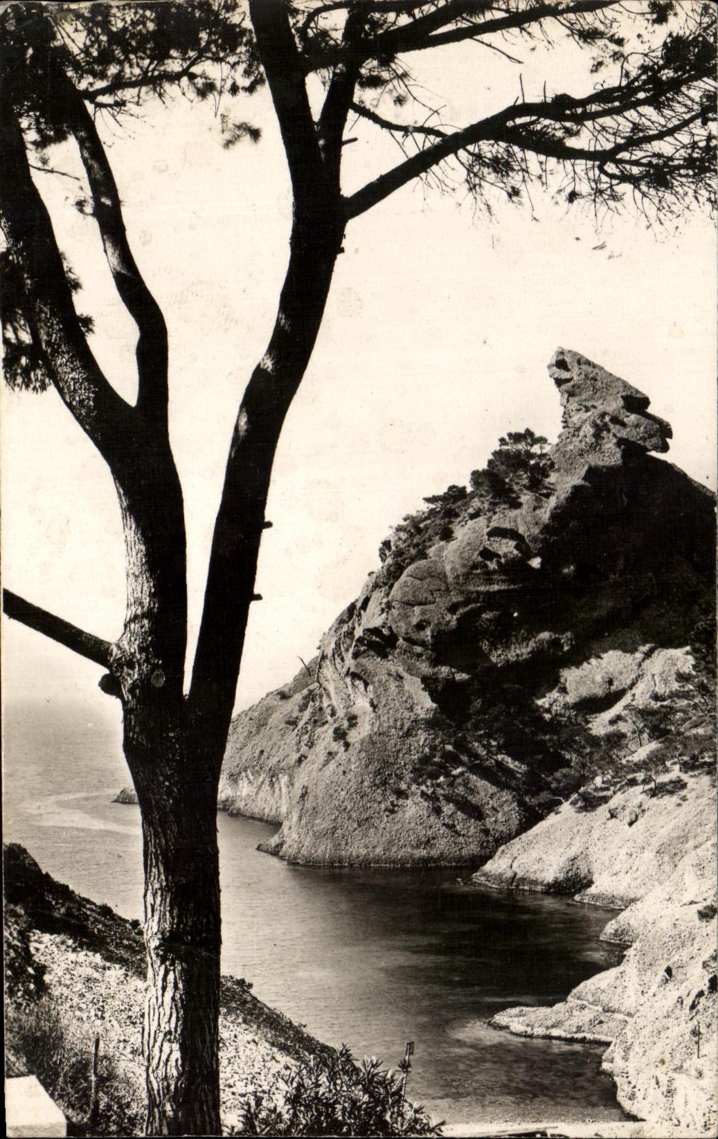 Calanque de Figuerolles — La Ciotat (B.-du-R.) — Serie 8.109