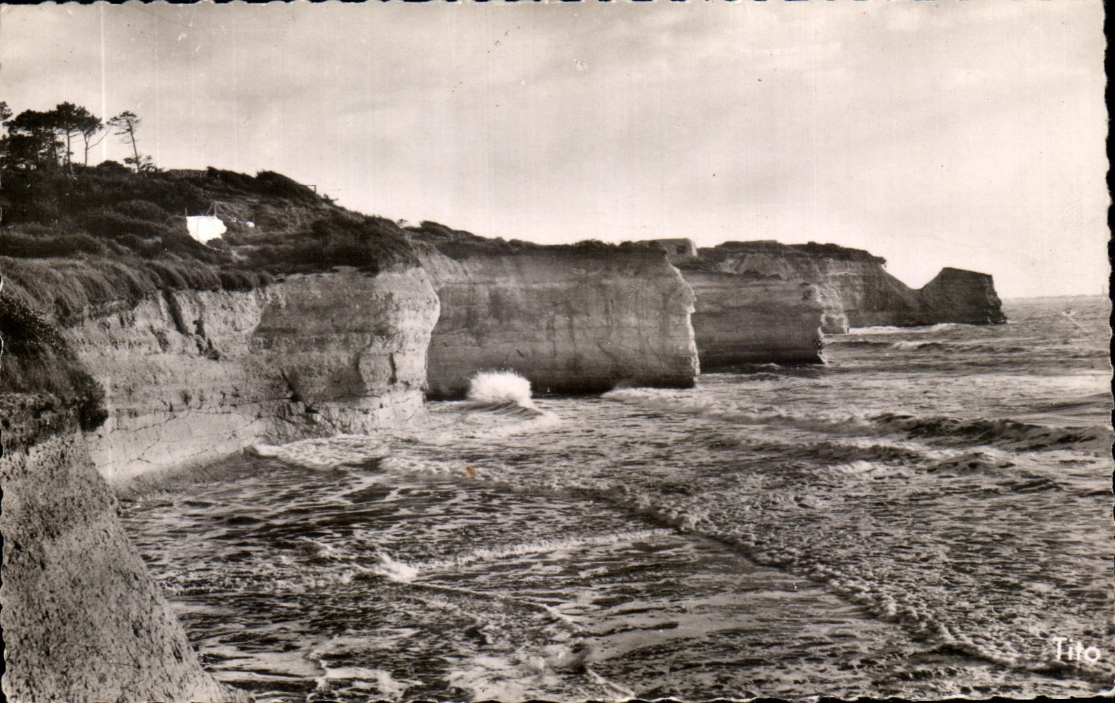 Falaises de la Pointe de Suzac — Saint-Georges-de-Diddonne — Tito