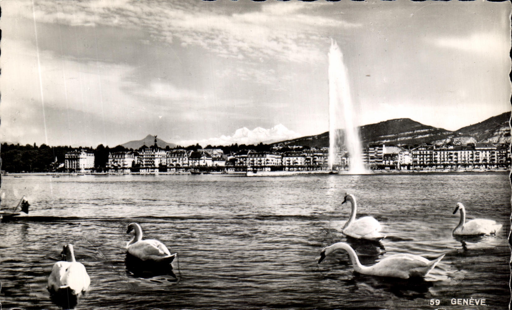 CPA Geneve Suisse Cygnes 