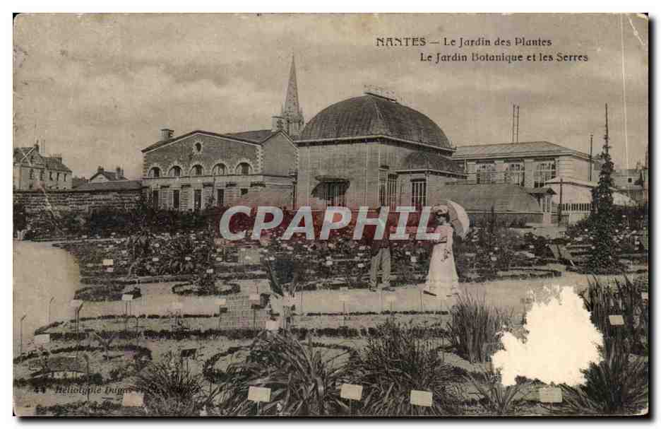 CPA Nantes Le Jardin des Plantes Le Jardin Botanique et les Serres