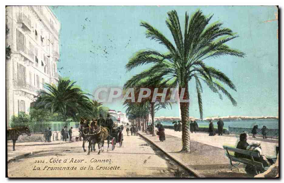 CPA Cote D'Azur Cannes La Promenade De La Croiselte Cheval 