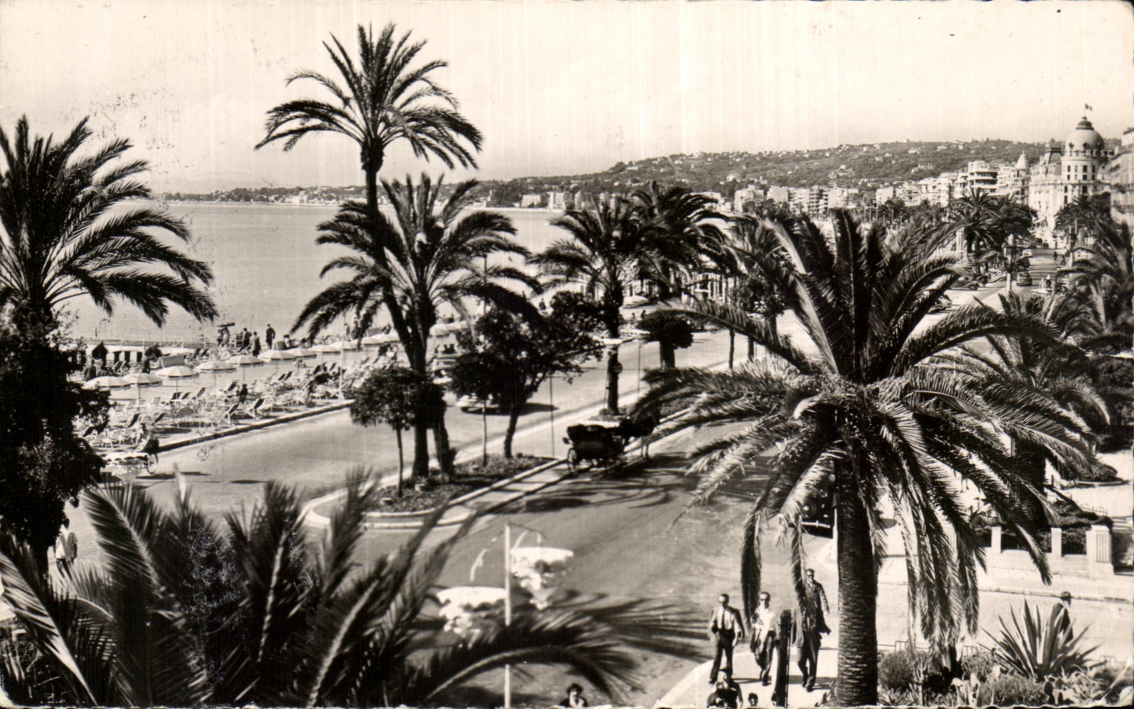 CPA La Cote D'Azur Nice La Promenade des anglais Palmiers 