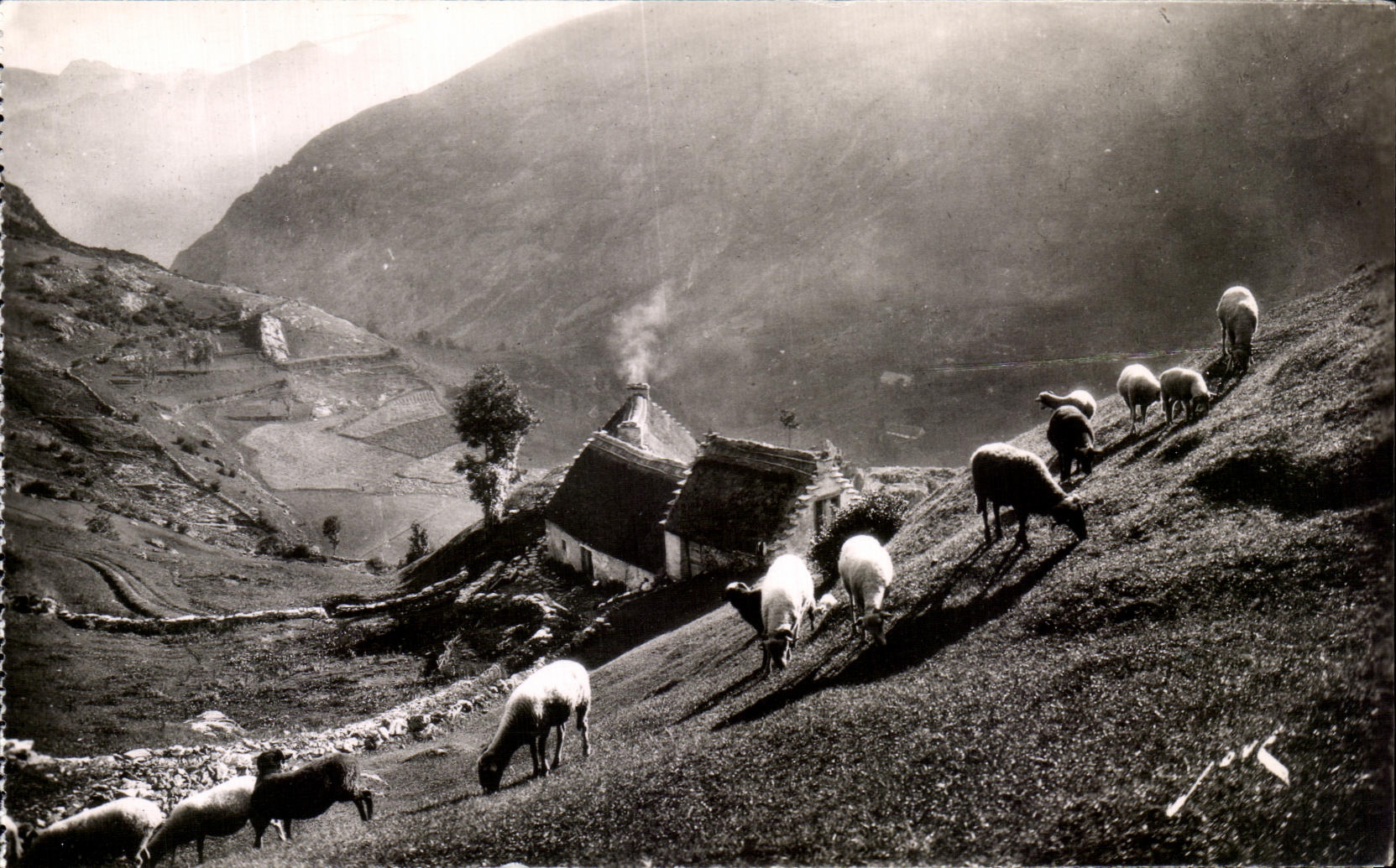 Hochgebirgspasture — Éditions JOVÉ, Pau — N° 82 bis