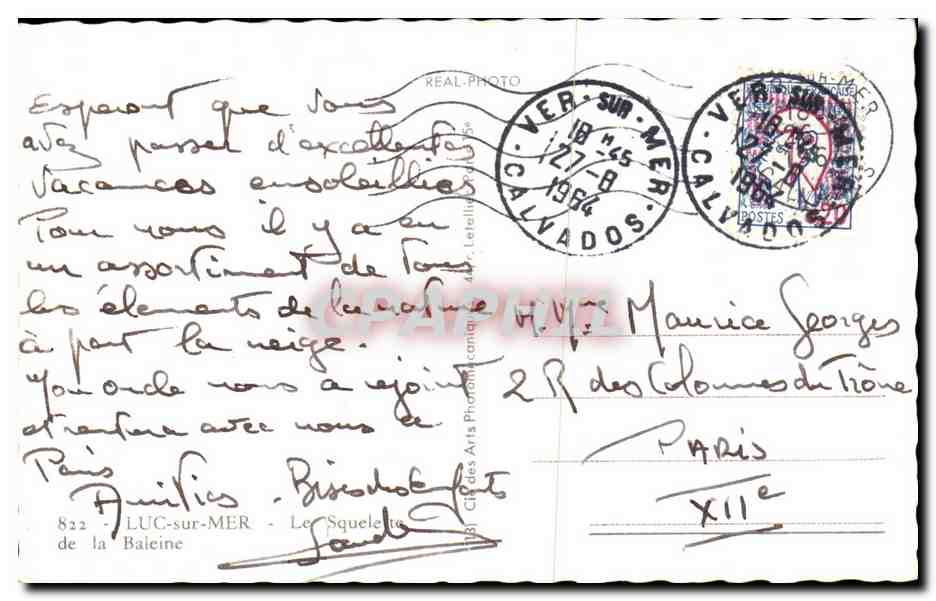 CPA Luc Sur Mer Le Squelette De La Baleine — Verso