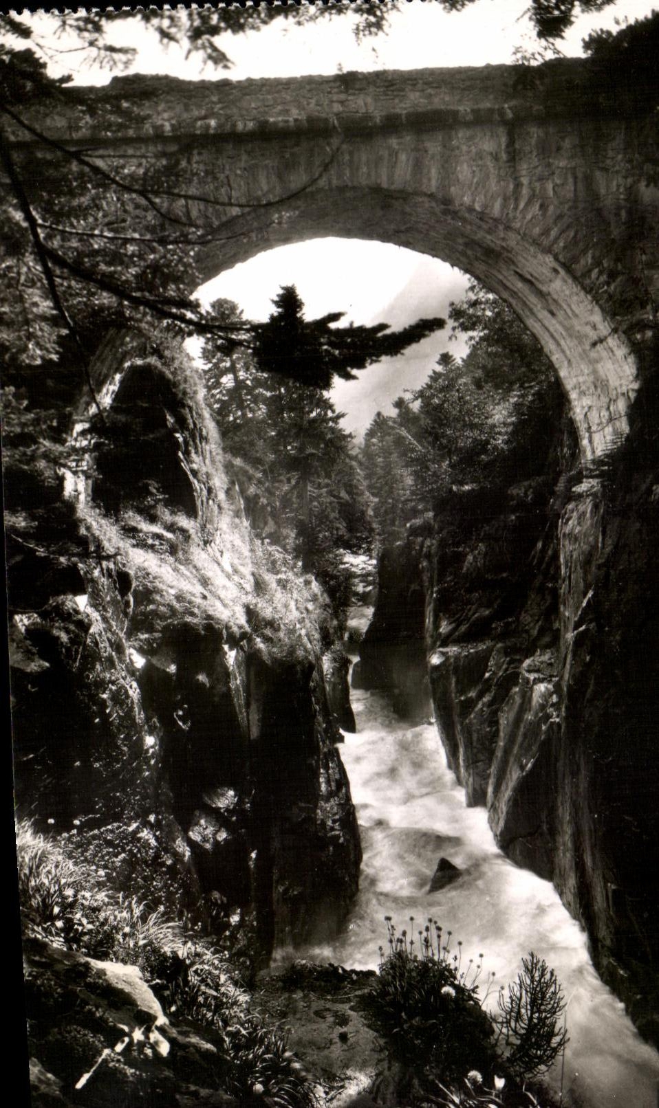 CPA Pau Environs de Cauterets Le pont d'Espagne 