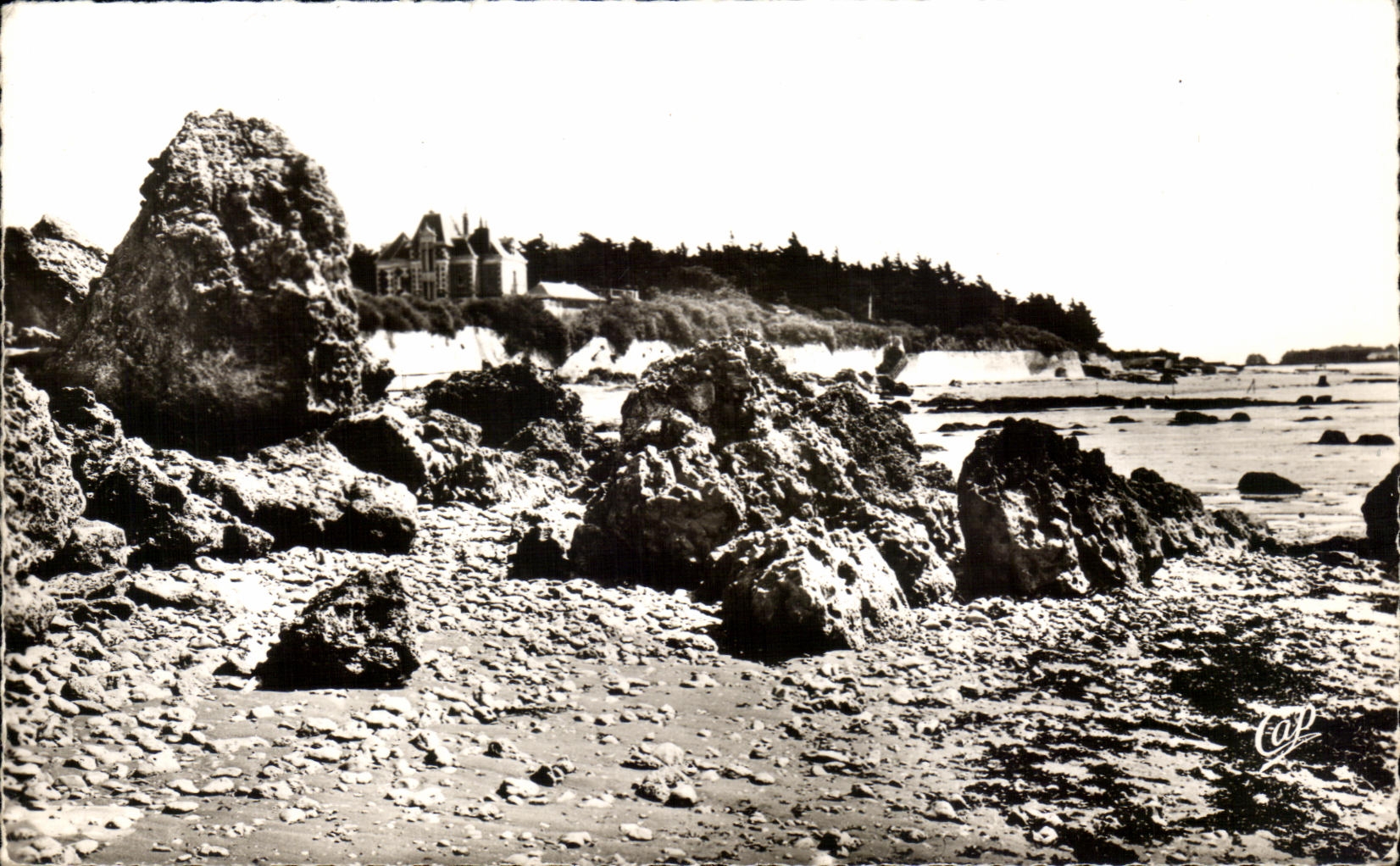 CPA Chatelaillon Les Rochers D'Angoulins Et Le Chateau