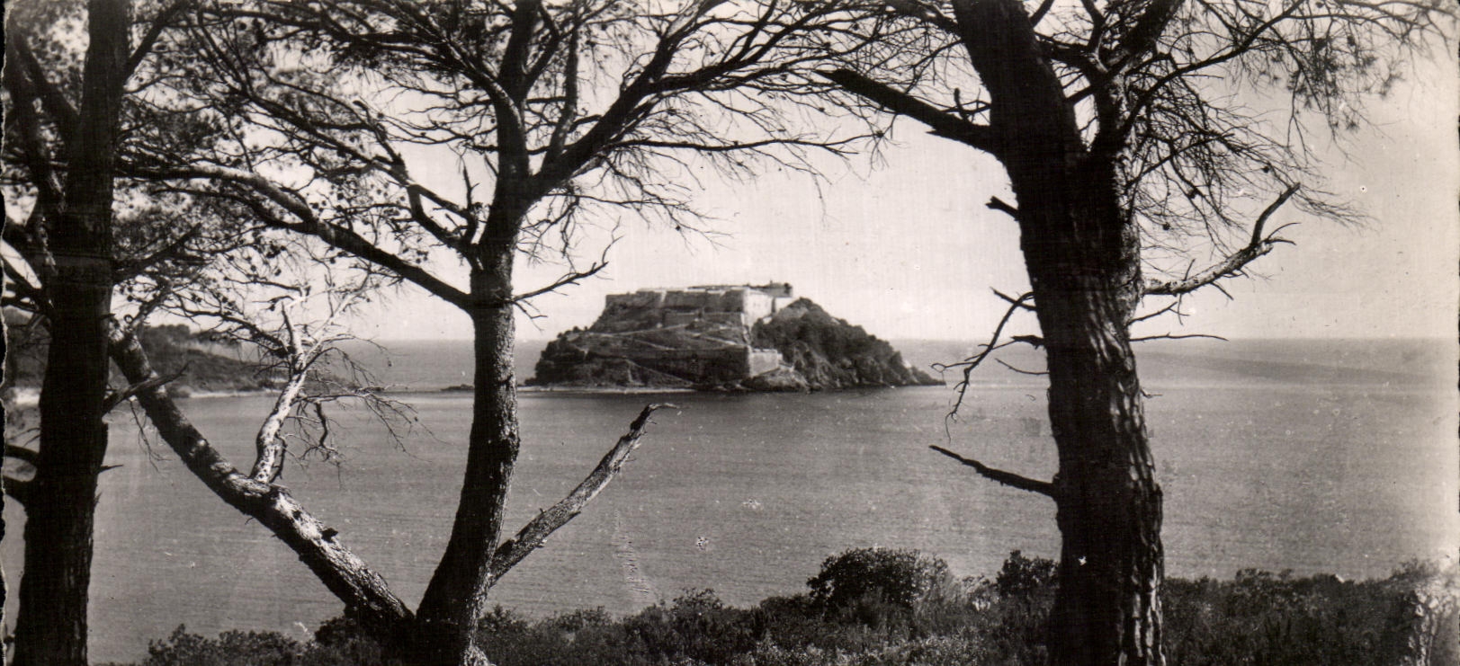 CPA Le Lavandou Le Fort De Bregancon