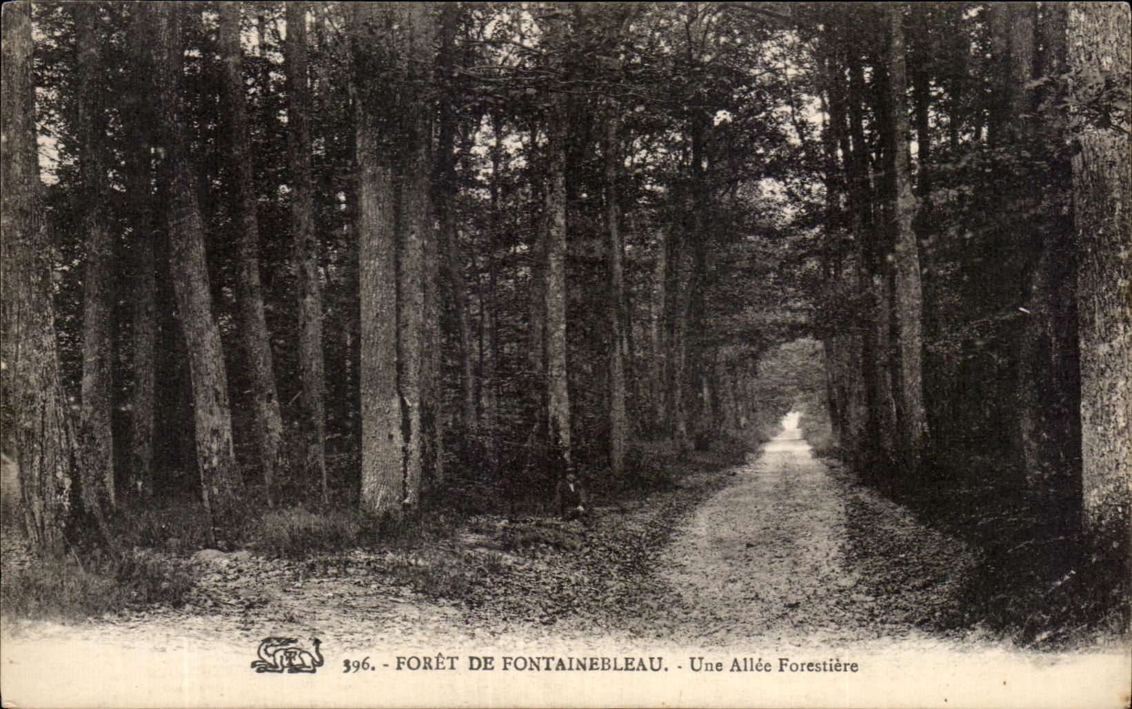 Wald von Fontainebleau — Ein Waldweg — Unbekannter Verleger, Nr. 396