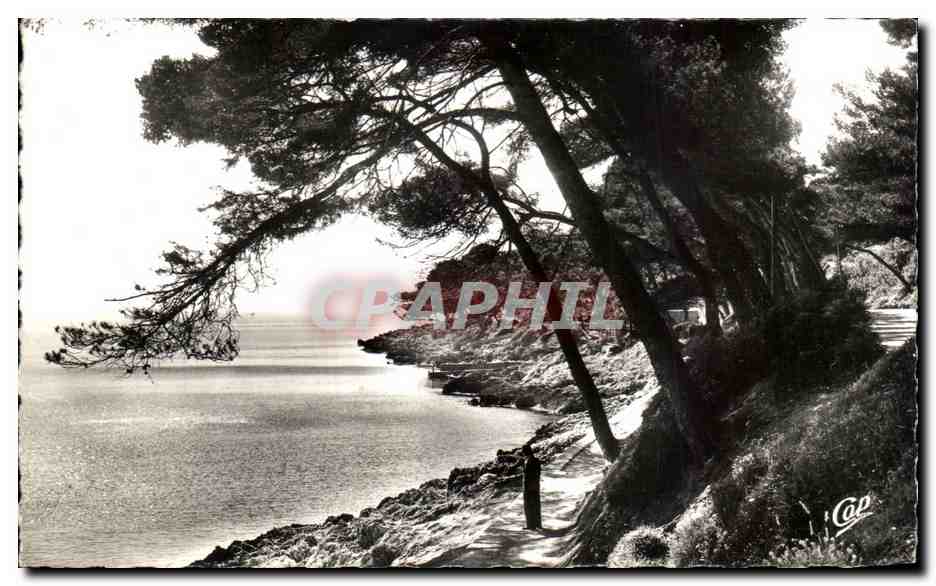 CPA Environ de Menton Roquebrune Cap Martin La Promenade du Cap Martin