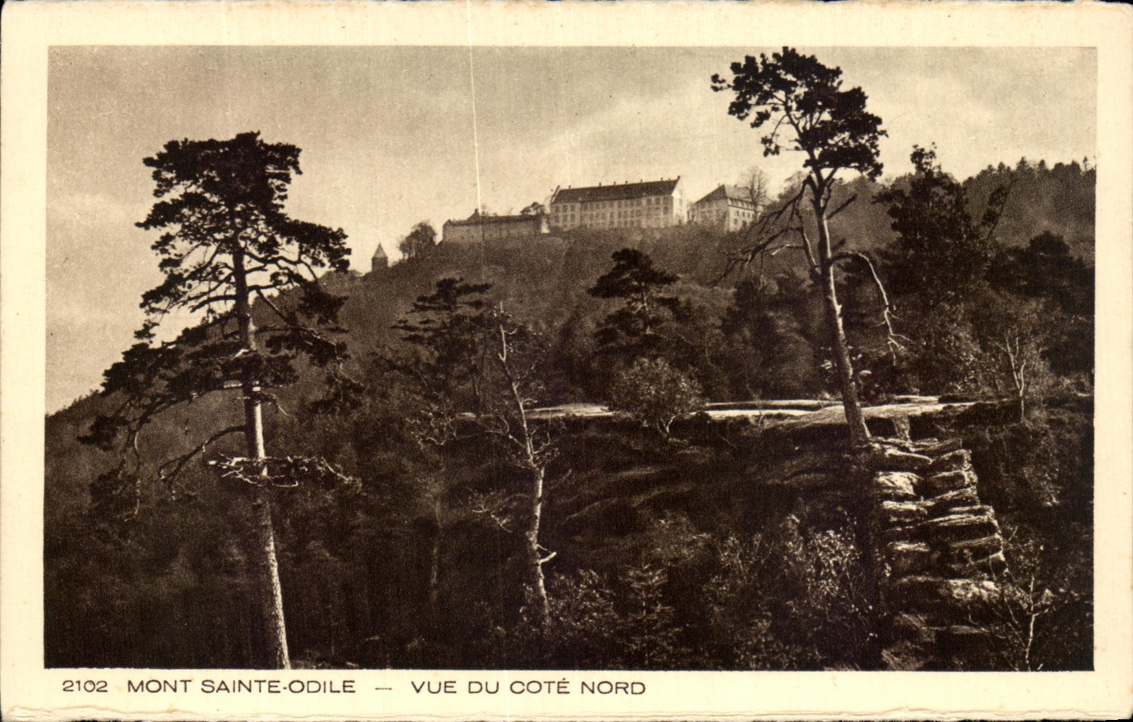 CPA Mont Sainte Odile Vue De Cote Nord