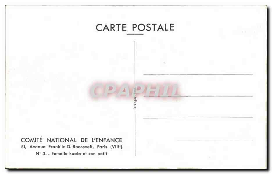 CPA Femelle koala et son petit  — Back