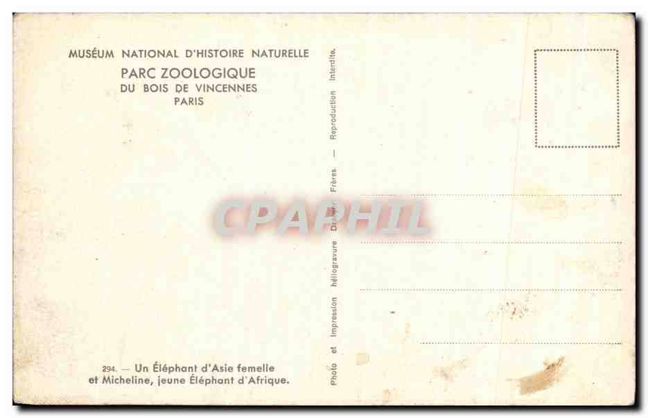 CPA Museum National D'Histoire Naturelle Parc Zoologique Du Bois De Vincennes Paris Elephant Micheline — Rückseite