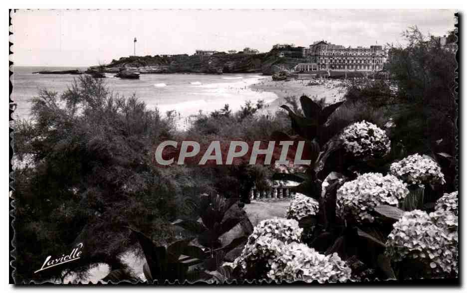 CPA Biarritz Les Hortensias et vue sur le Phare