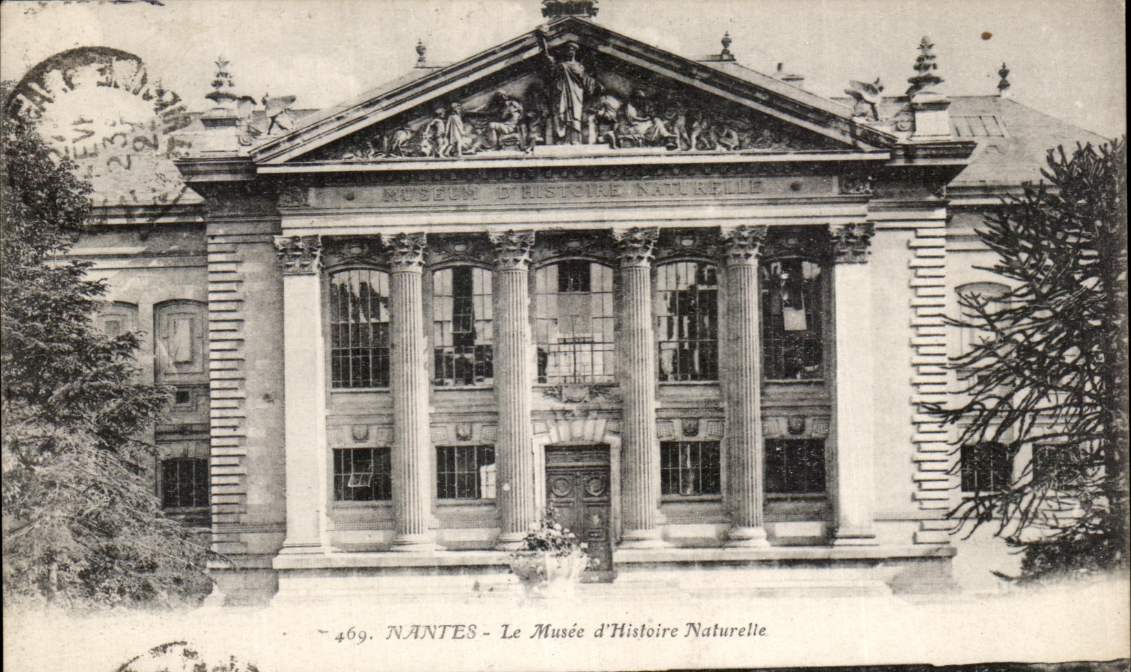 CPA Nantes Le Musee d'Hisloire Naturelle