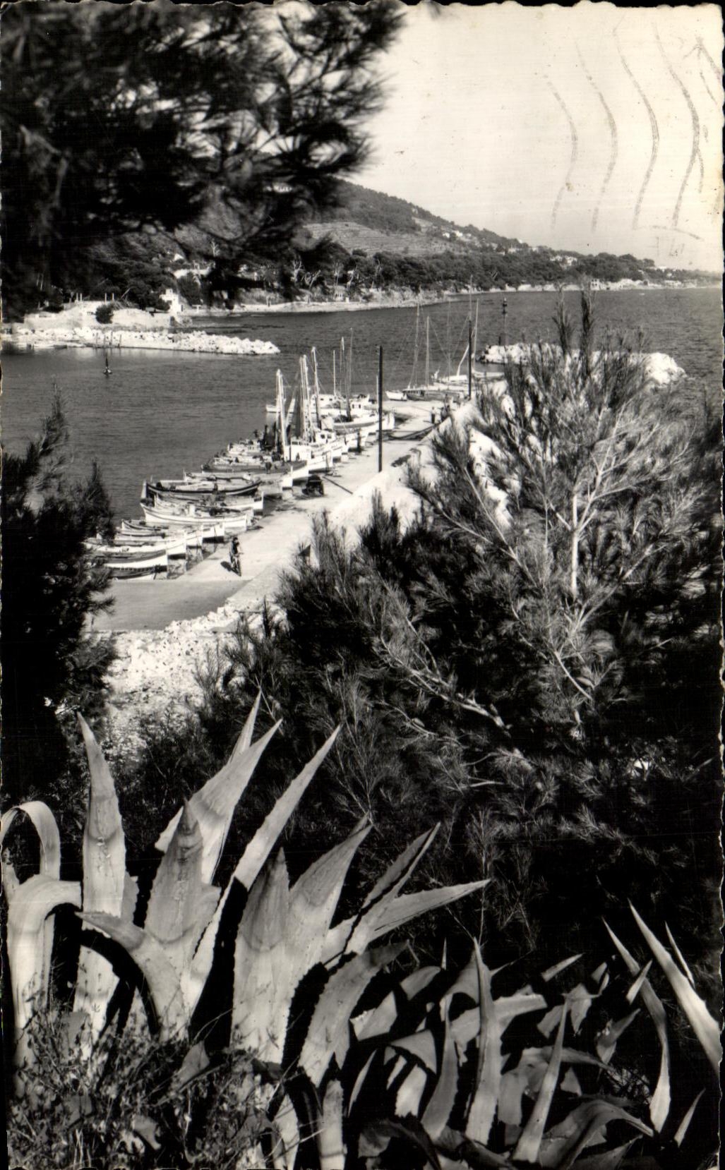 CPSM Carqueiranne Le Port des Salettes 