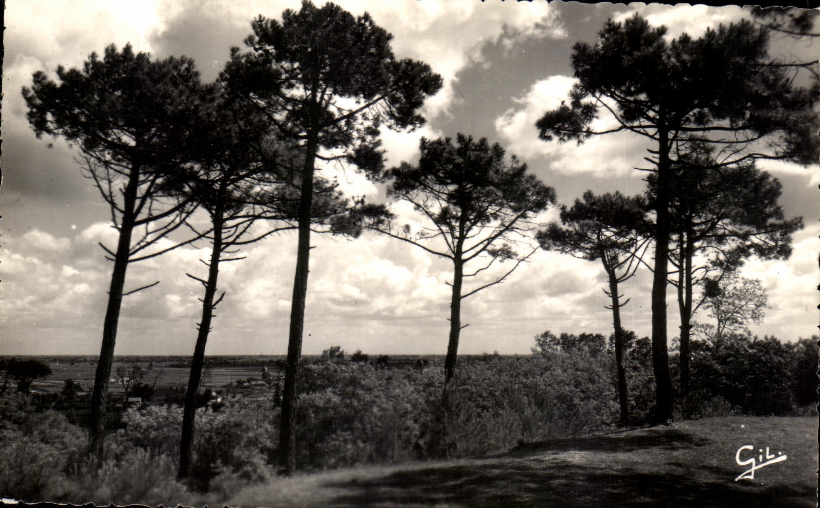 Saint-Jean-de-Monts (Vendée) — Vue générale sur le marais — Marc GILTIENNY (Loire-Inf.)