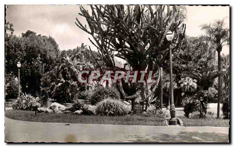 CPA Monte Carlo Le Parc des Boulingrins 