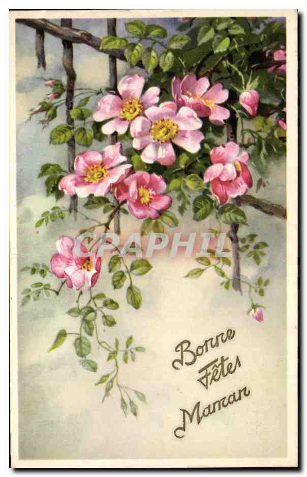 CPA Fantaisie fleurs Bonne Fetes Maman