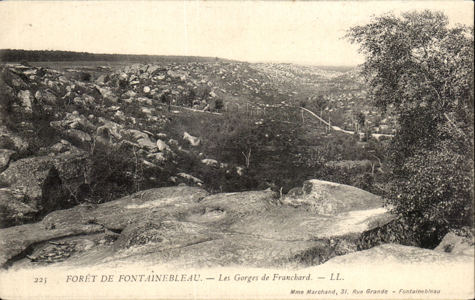 Fontainebleau Forest — The Francbard Gorges — Mme Marchand, 31 Rue Grande - Fontainebleau