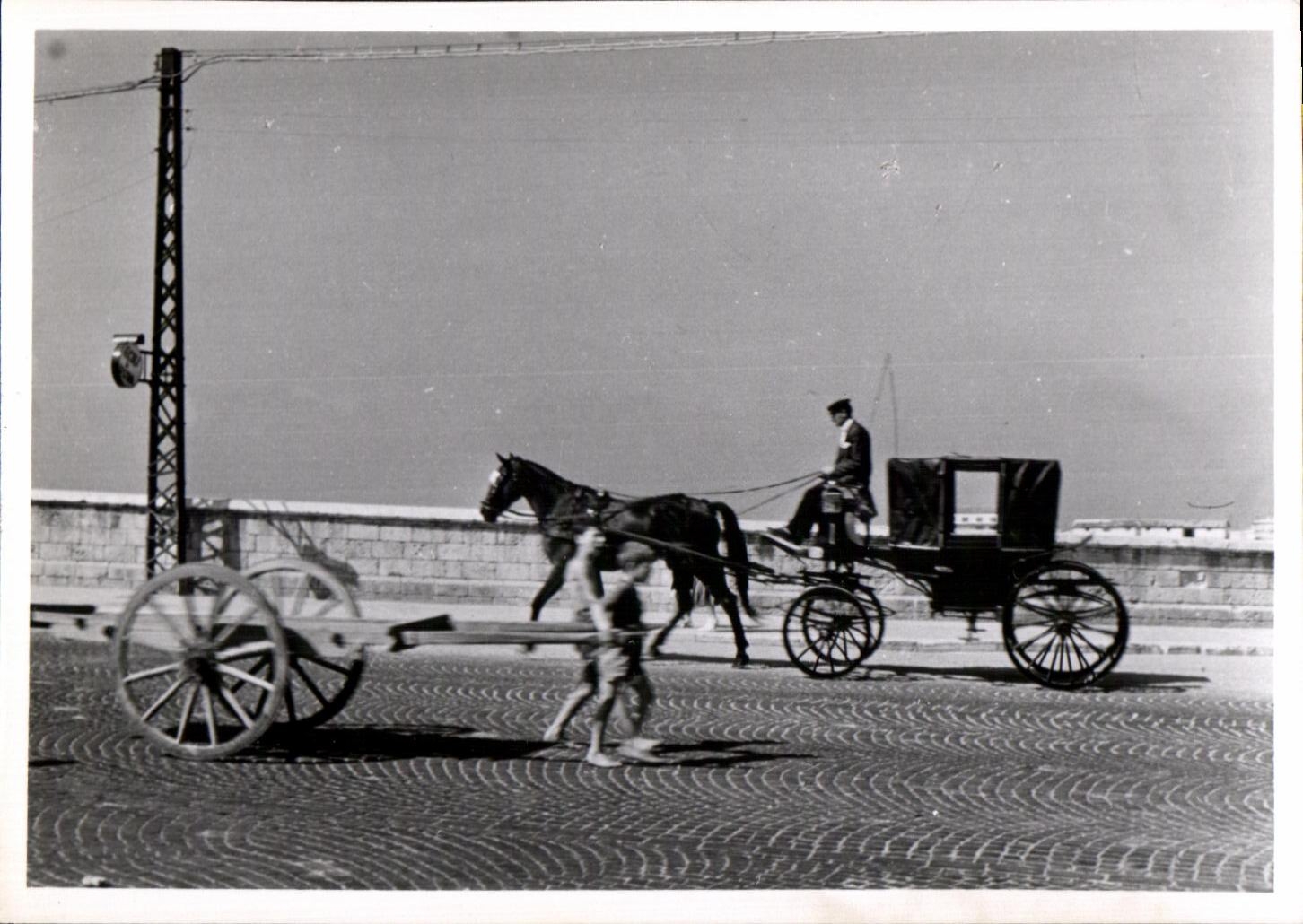 PHOTO Italie Tarente Attelage Caleche cheval