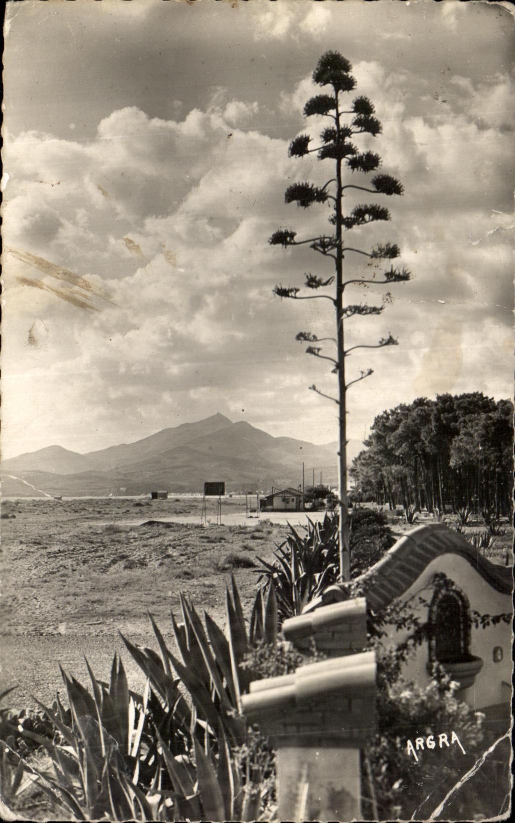 Vintage Postcard Argeles Plage View of the Alberes