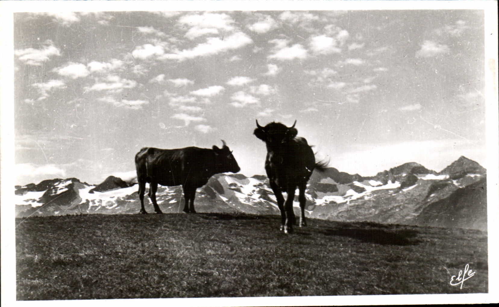 Pâturages sur le plateau et la chaîne frontière — Pyrénées-Océan — Éditions Laroque Frères — n° 544