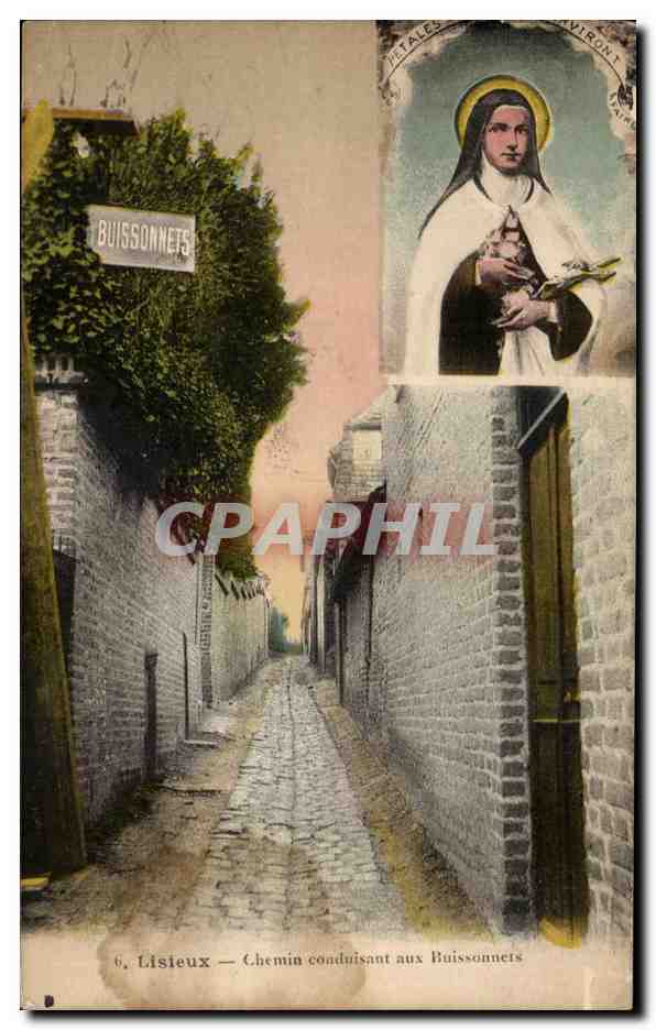 CPA Lisieux Chemin Conduisant aux Buissonnets