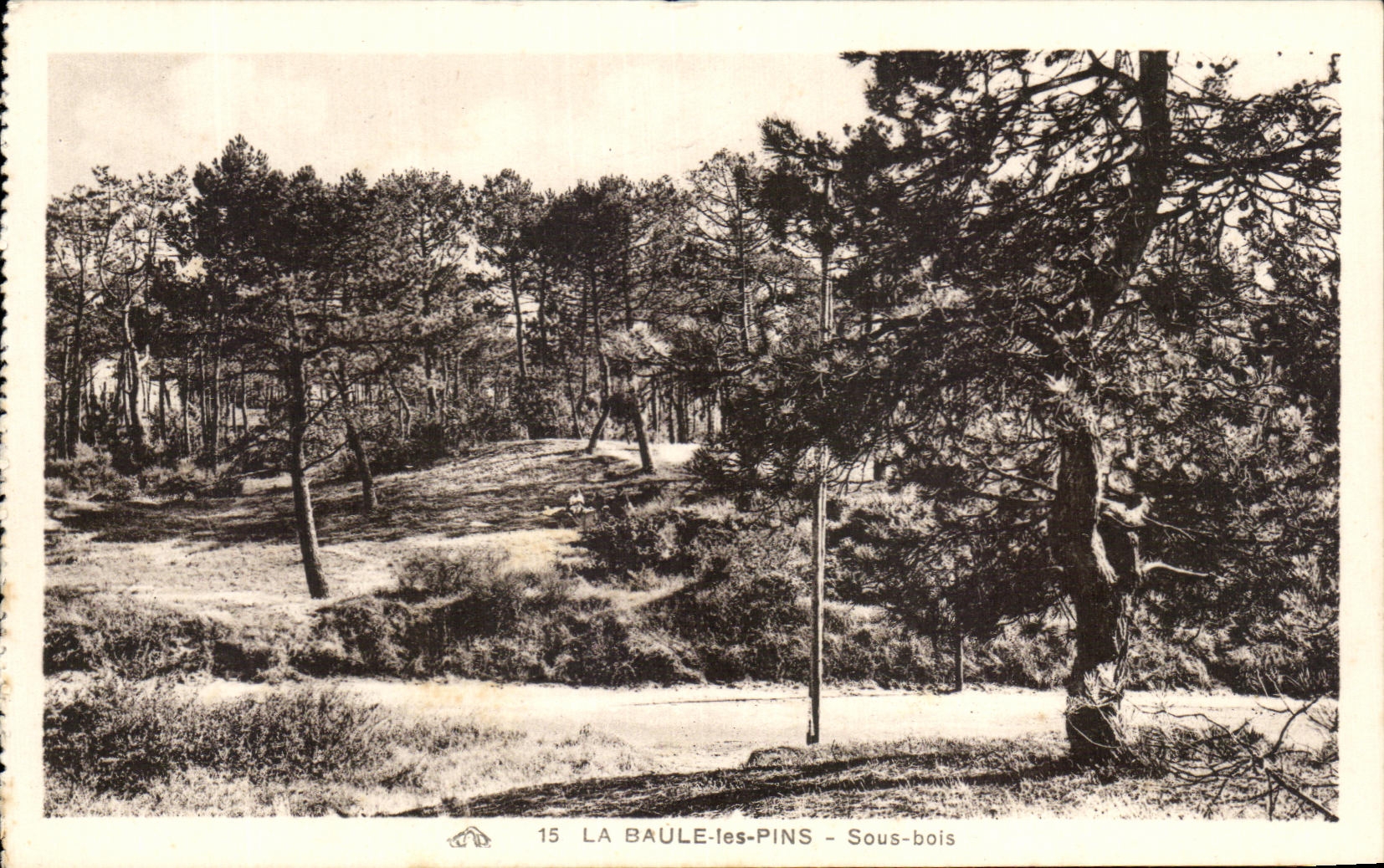 CPA la baule les Pins Sous bois