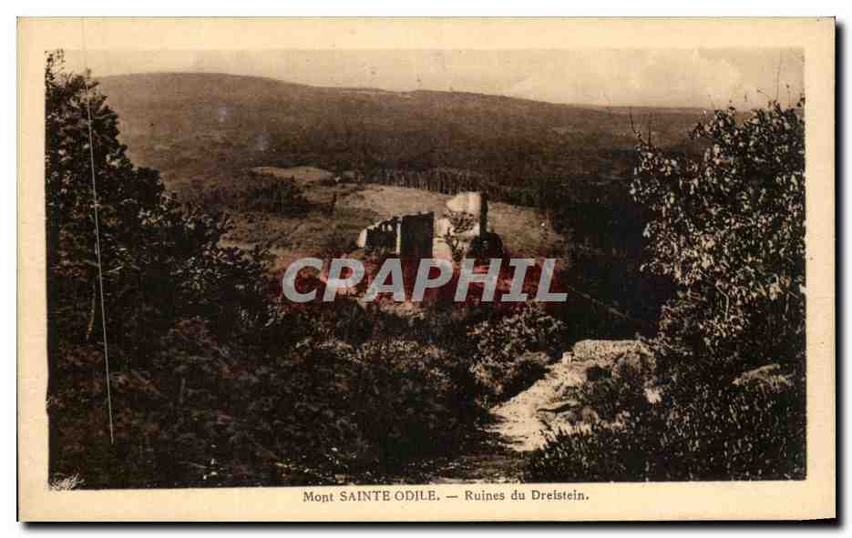 Mont Sainte-Odile — Ruines du Drelstein