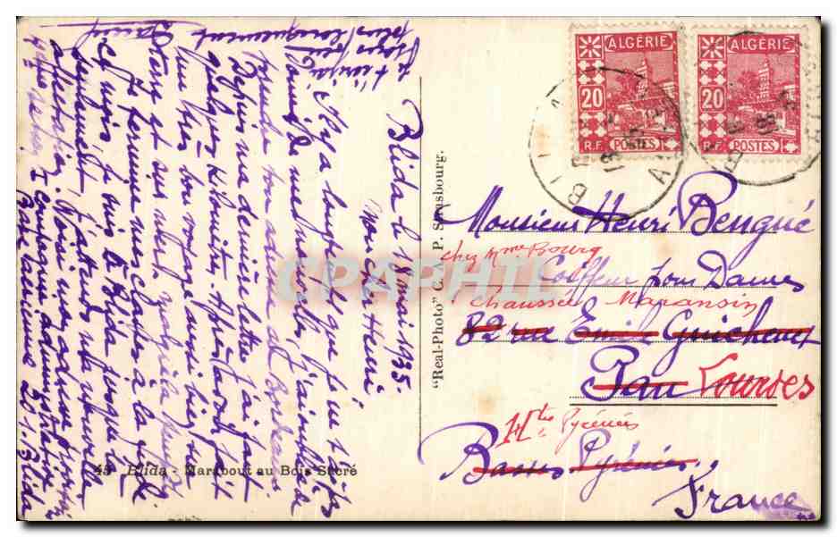 CPA Blida Marabout au Boi Sacre Algerie — Back