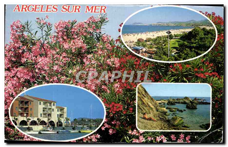 CPM Argeles sur mer Vue generale Le port le Racou