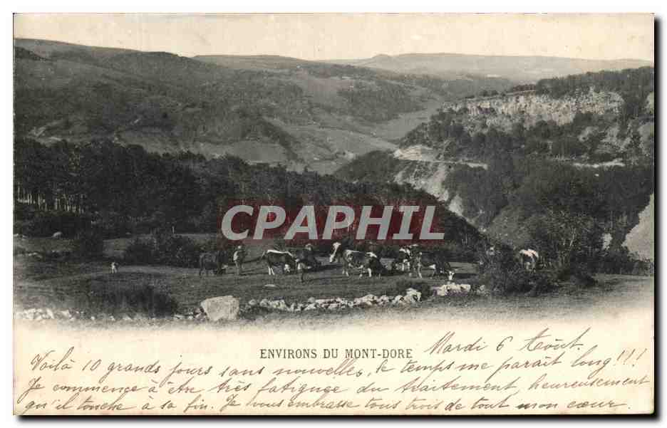 CPA Environs du Mont Dore Vaches