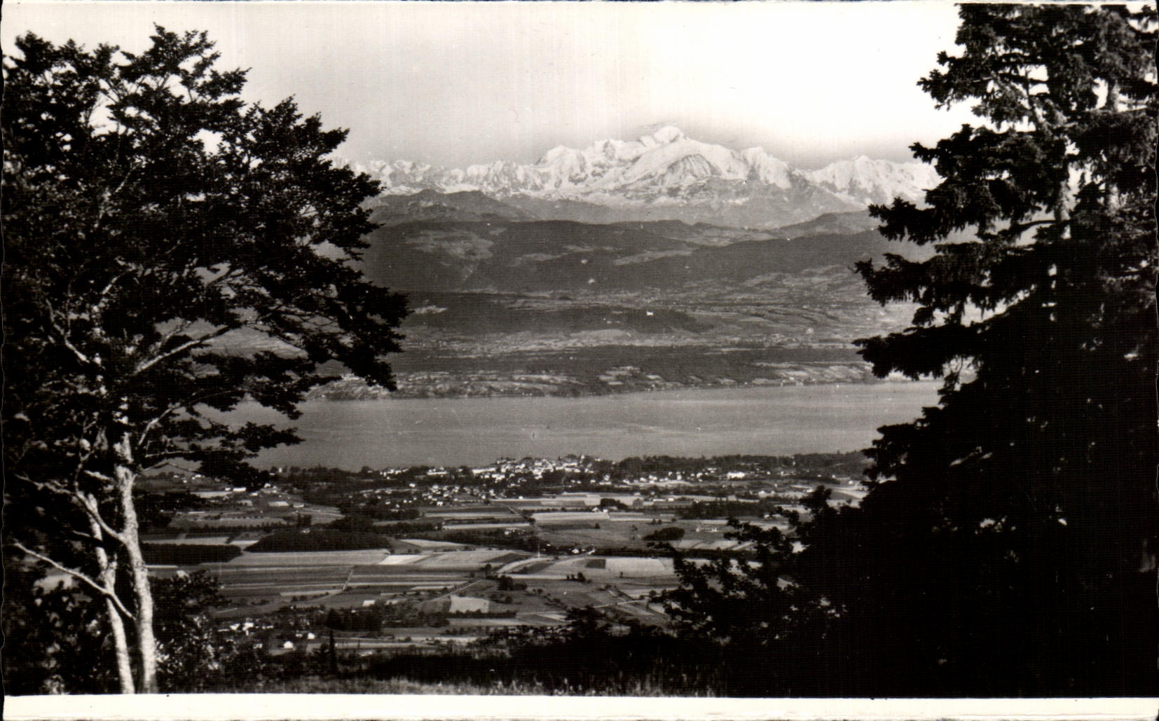 Le lac Léman et le Mont-Blanc — vus du col de la Faucille — Édition E. Protet, Dôle (Jura)