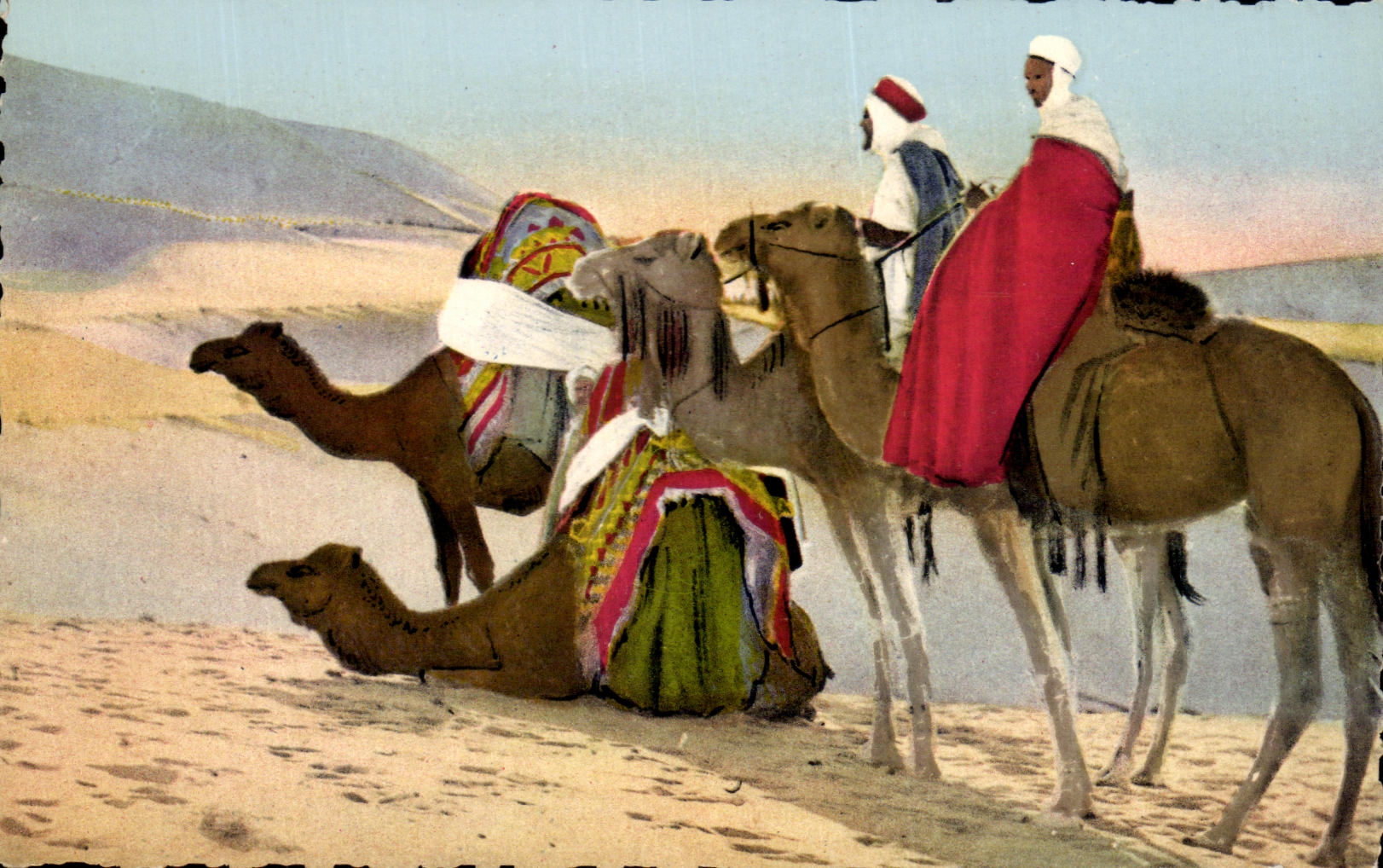 CPA Scenes Types D'Afrique du Nord Vers le Sud Chameau