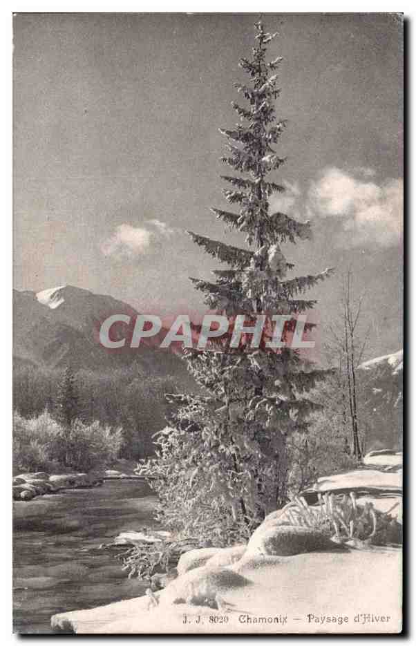 CPA Chamonix Paysage d'Hiver