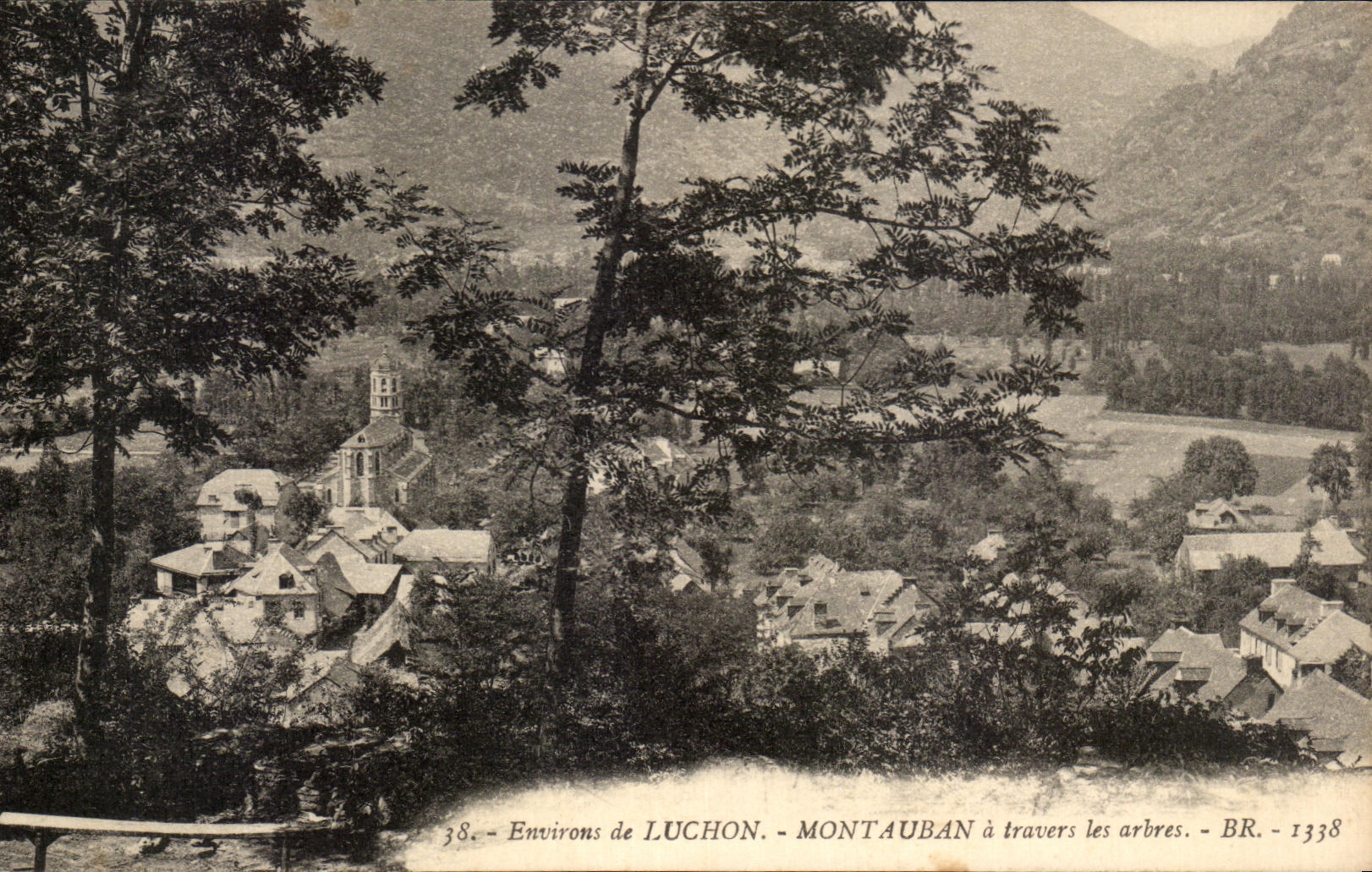 CPA Environs de Luchon Mont Auban A Travers les Arbres