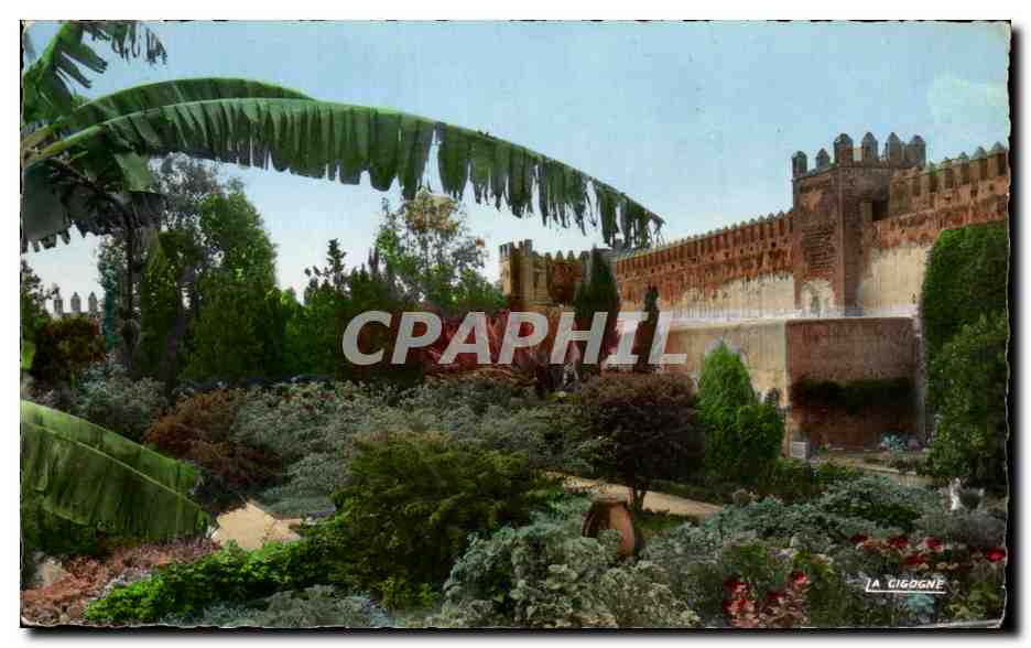 CPA Rabat Le Jardin des Oudayas Maroc 