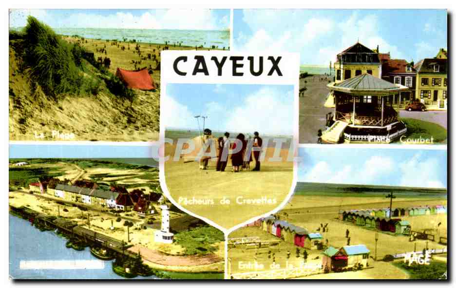 CPSM Cayeux Sur Mer Pecheurs de crevettes Place Courbet Plage 