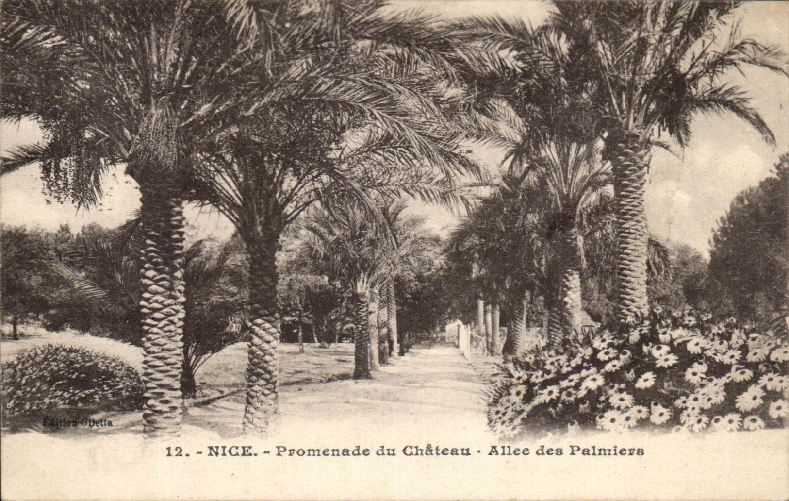 CPA Nice Promenade de Chateau Alle des Palmiers
