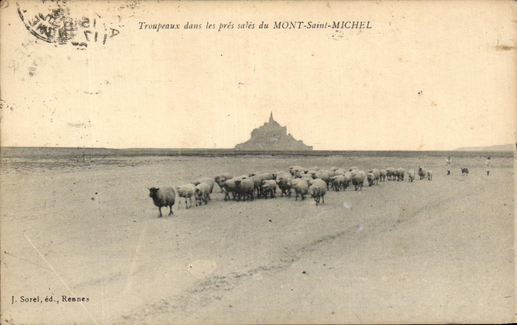 CPA Troupeaux dans les pres sales du Mont Saint Michel Moutons 