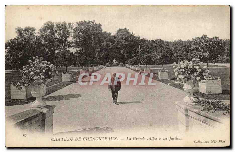 CPA Chateau De Chenonceaux La Grande Allee Les Jardins