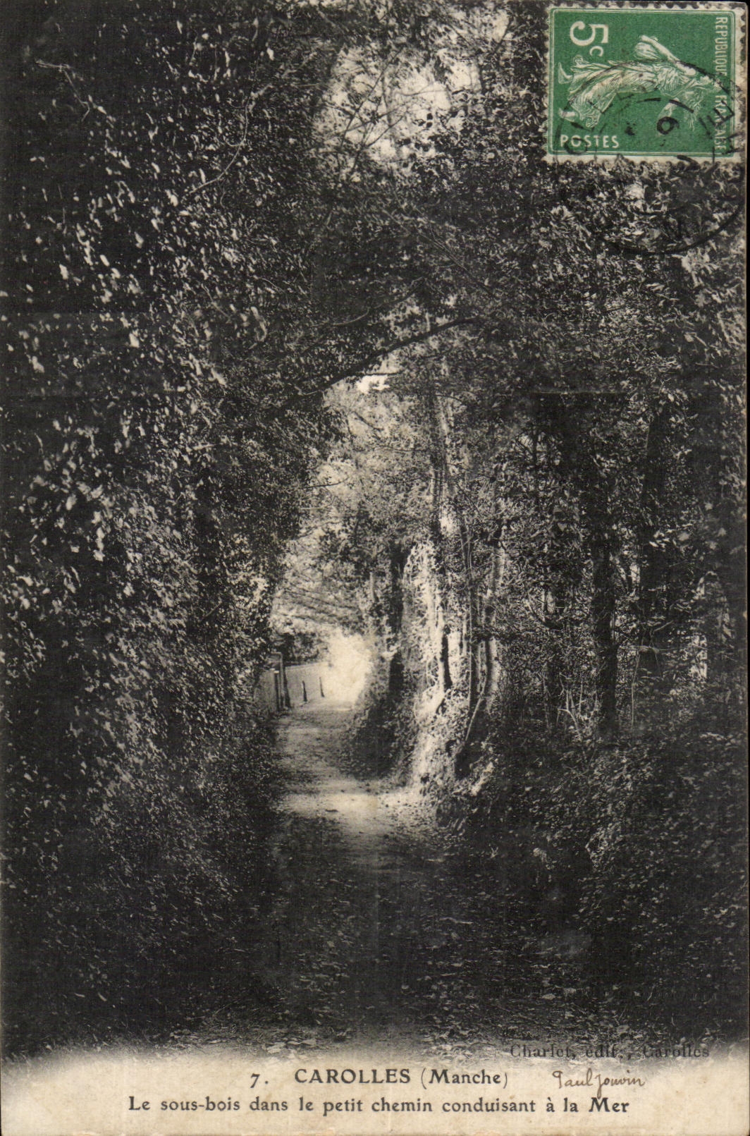 Carolles (Manche) — Le sous-bois dans le petit chemin conduisant à la Mer — Charles, édit. Carolles